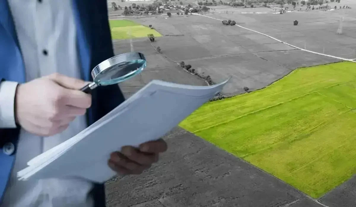 Ақмола облысында құнды жер заңсыз конкурс арқылы жекенің қолына өтіп кете жаздаған