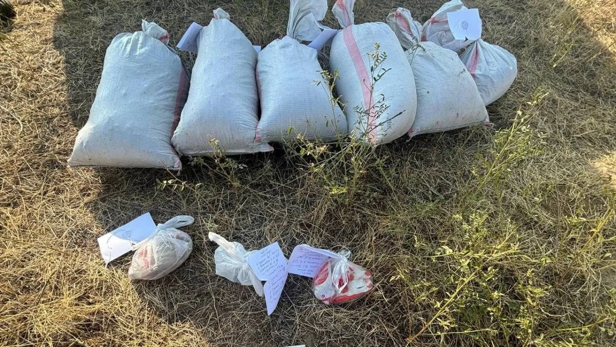 Жамбыл облысында қап-қап есірткі тасып жүрген төрт адам ұзақ мерзімге сотталып кетті