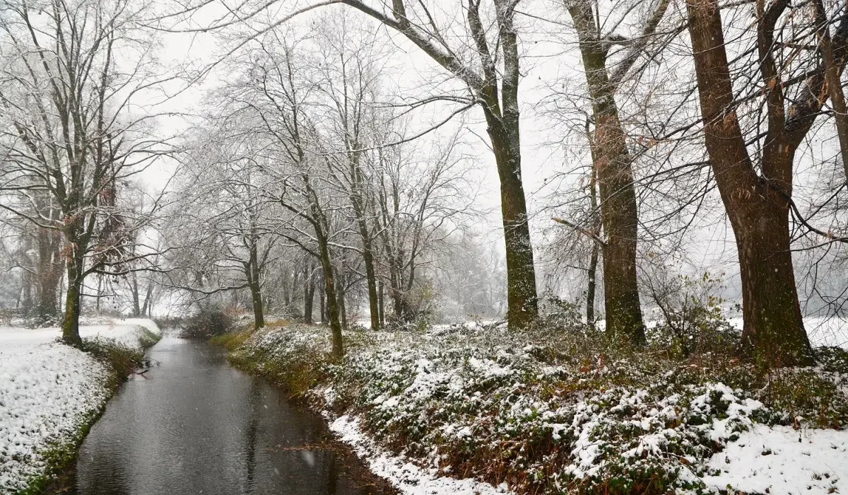 12 қаңтарда Қазақстанның басым бөлігінде боран соғады