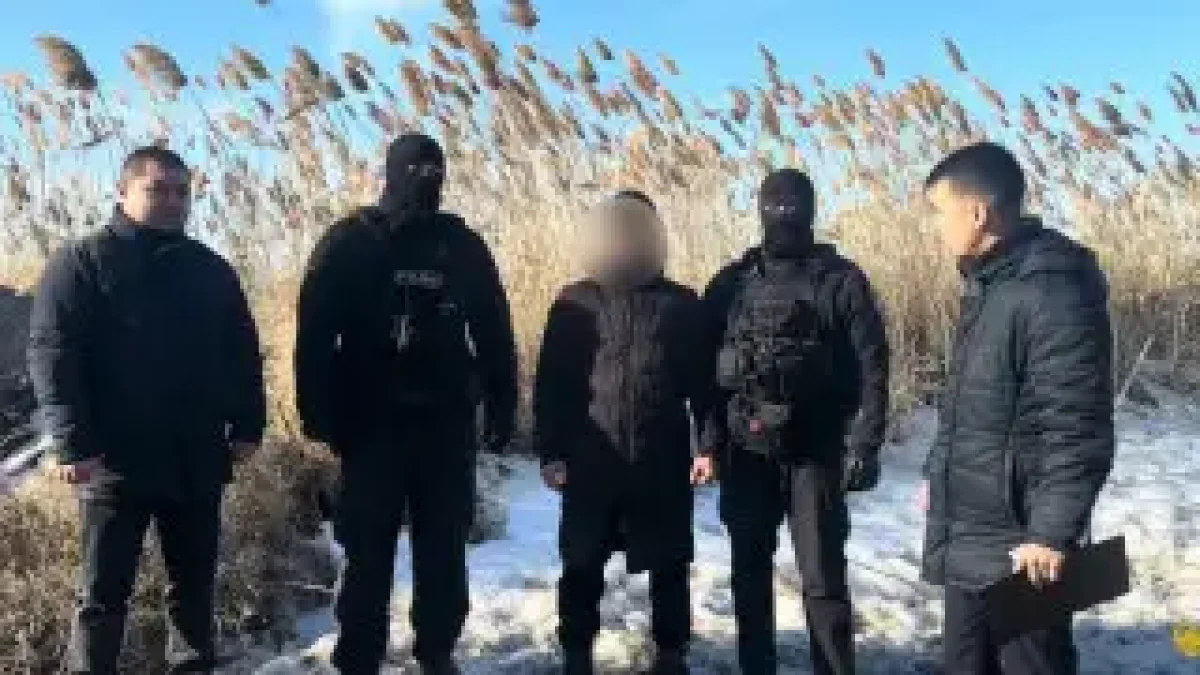 Алматы облысында мал ұрлығымен айналысқан топ ұсталды