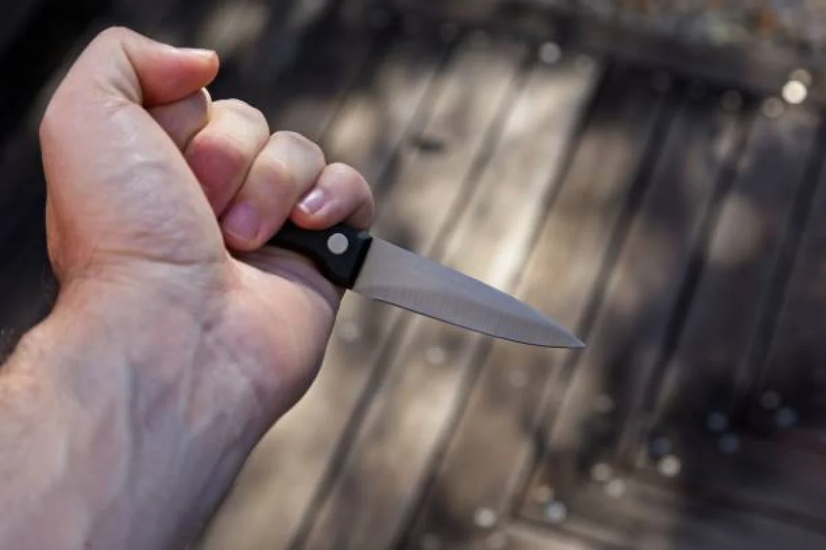 Қызылқоғадағы қанды қылмыс: марқұм ерлі-зайыптының денесінде пышақ жарақаттары бар