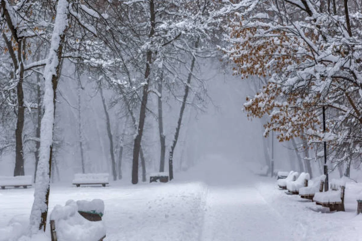 Жел екпіні күшейіп, аяз сақылдайды: Қазақстанның 12 өңірінде дауылды ескерту