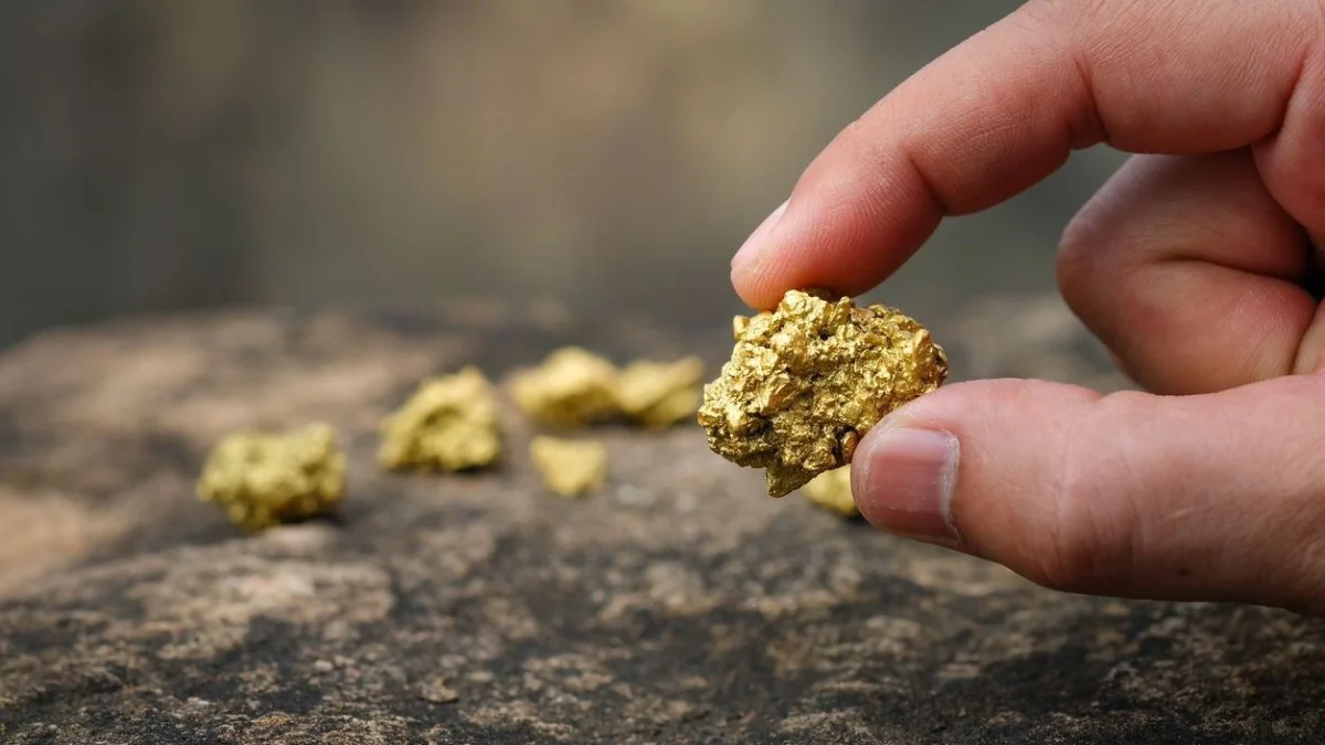 Абай облысында заңсыз алтын өндіріп жатқандар ұсталды