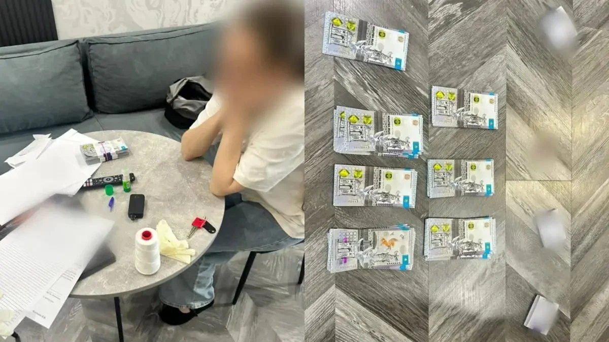 Павлодарда шетел азаматы бүйрегін 50 мың долларға сатпақ болған: оған қатысты сот үкімі шықты