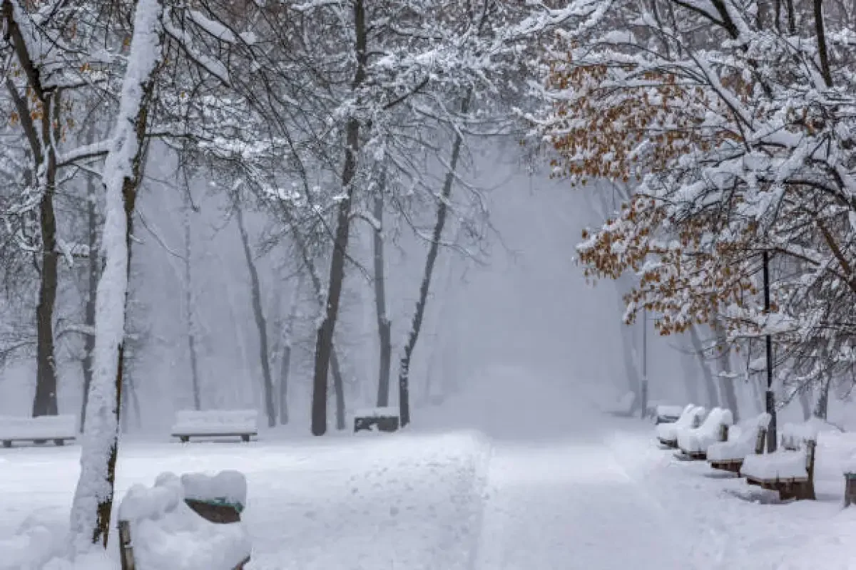 18 қаңтарда 45 градусқа дейін сарышұнақ аяз болады