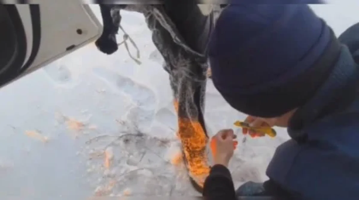 Екібастұз маңында көлік мұз астына түсіп, төрт адам ажалдан аман қалды