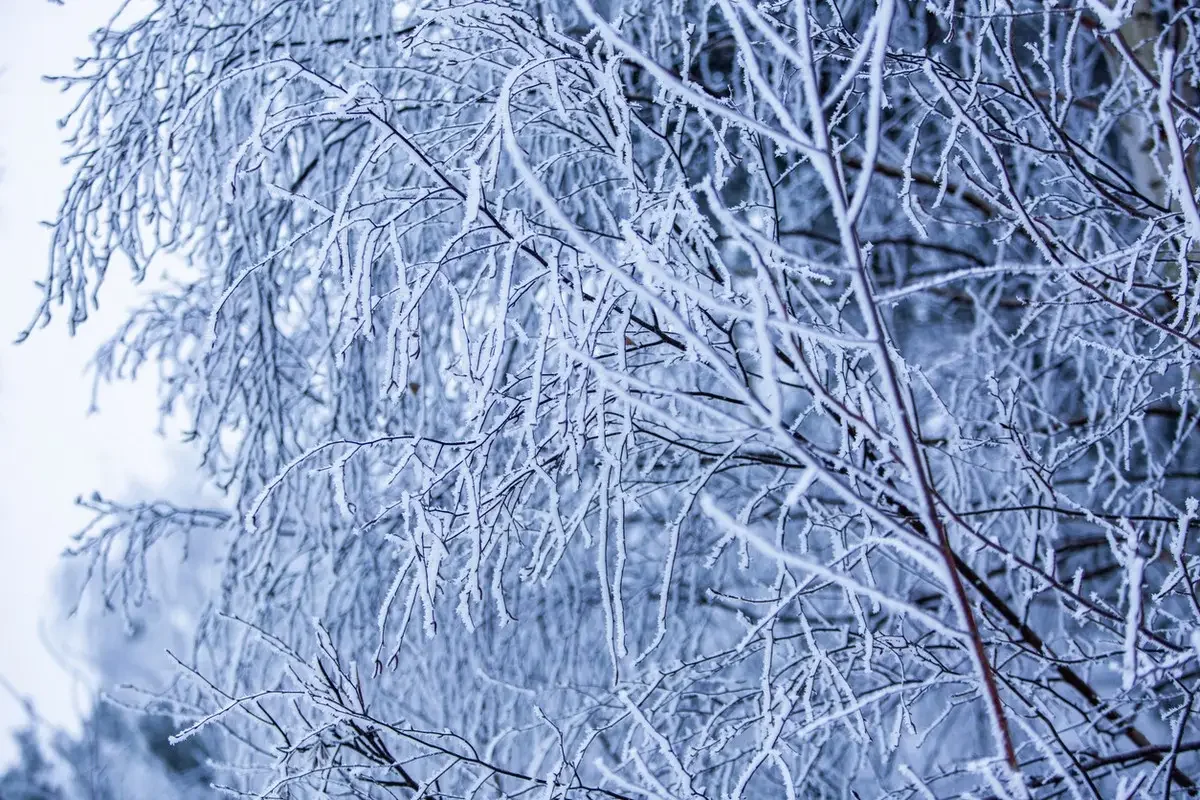 Рекордтық аяз: ШҚО ауылында термометр -56 градусқа дейін төмендеді