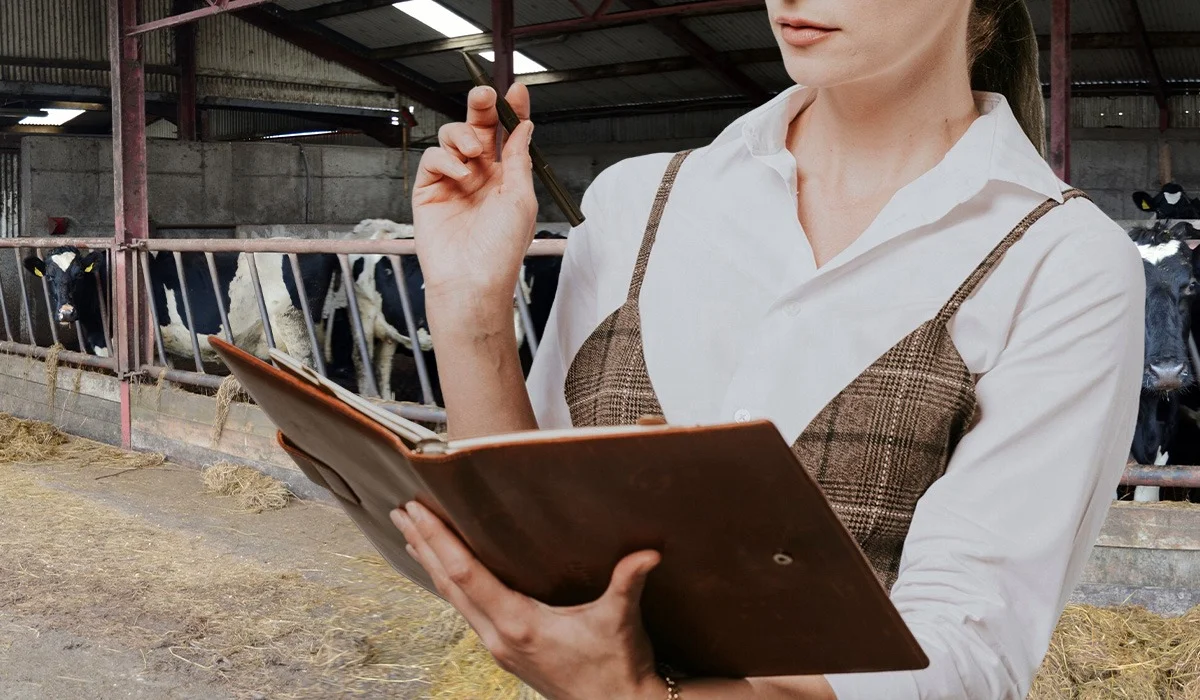 Қағазда бар да қорада жоқ - шаруалар бір ірі қараның құжатымен 808 млн теңге субсидия алған