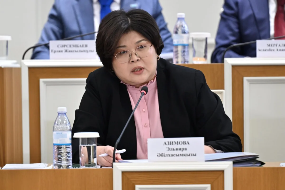 Эльвира Азимова: Конституциялық комиссияның алдында айрықша миссия тұр