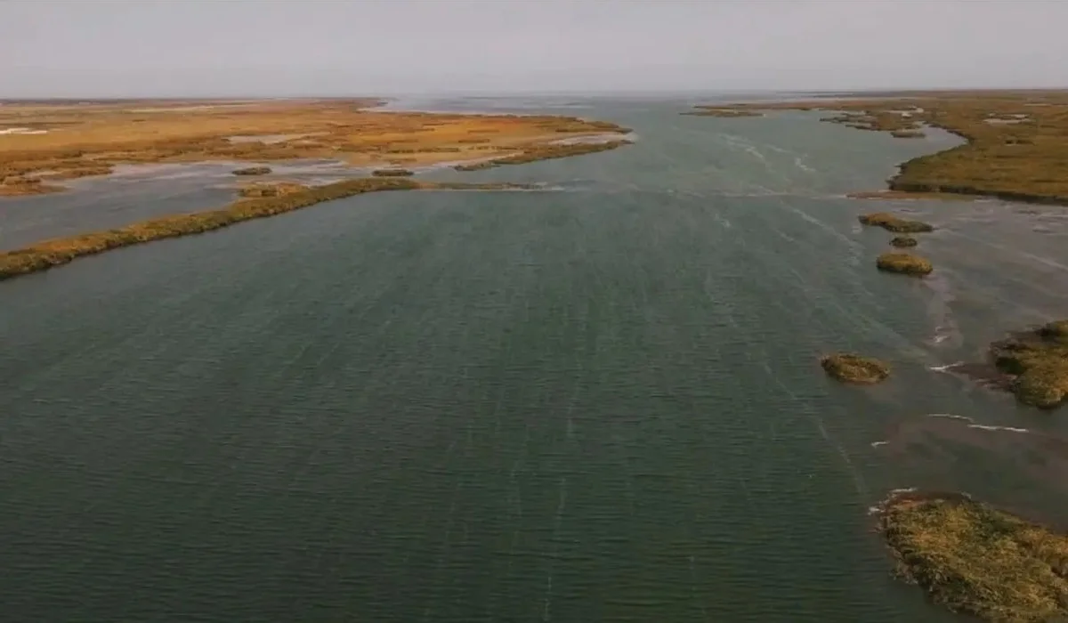 Солтүстік Аралды сақтау: су деңгейін көтеру үшін Көкарал бөгеті реконструкциялануы мүмкін