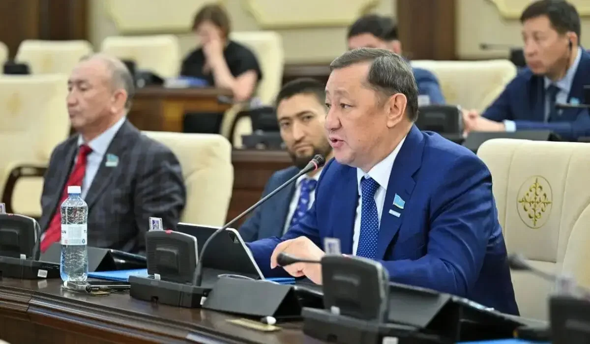 Депутат моноқалаларды дамытудағы жүйелі мәселелерді көтерді