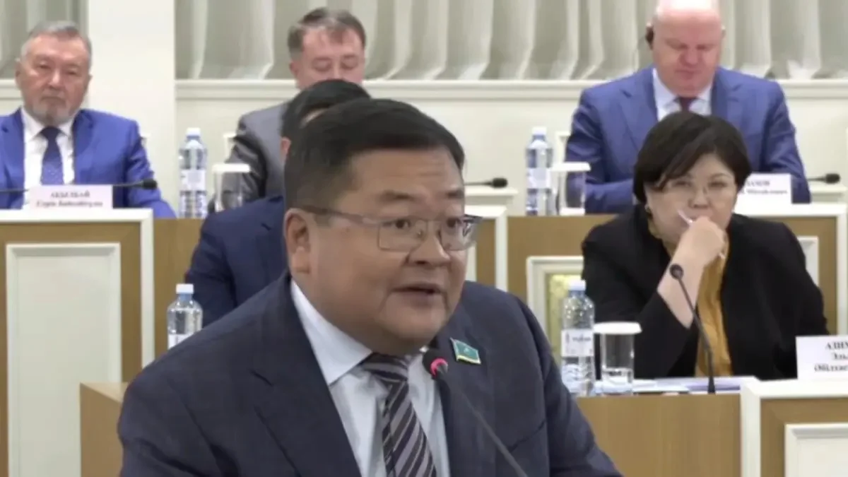 Пропорционалды жүйе мажоритарлық жүйемен салыстырғанда елеулі артықшылықтарға ие - депутат