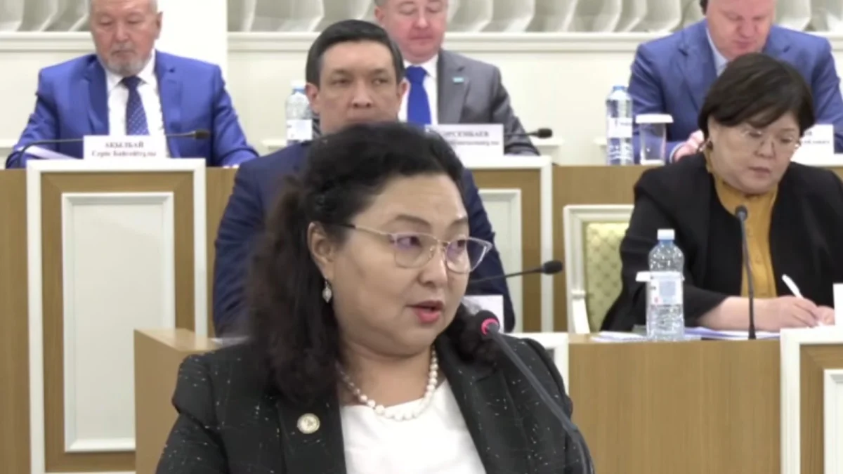 Конституцияда «Ұлттық Құрылтай» мен «Халық кеңесі» атауларын қазақ тілінде жазу маңызды – Анар Фасылжан