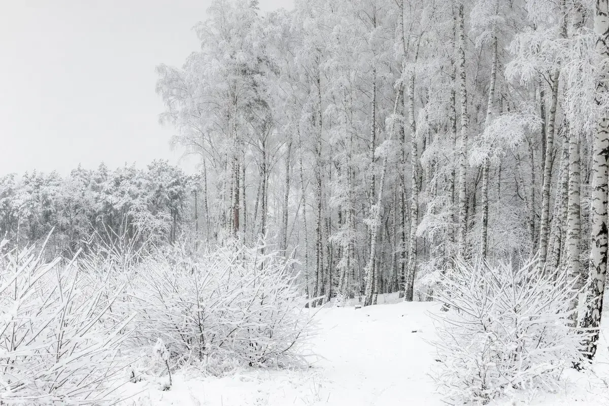 Қазақстанның 16 өңірінде дауылды ескерту жарияланды