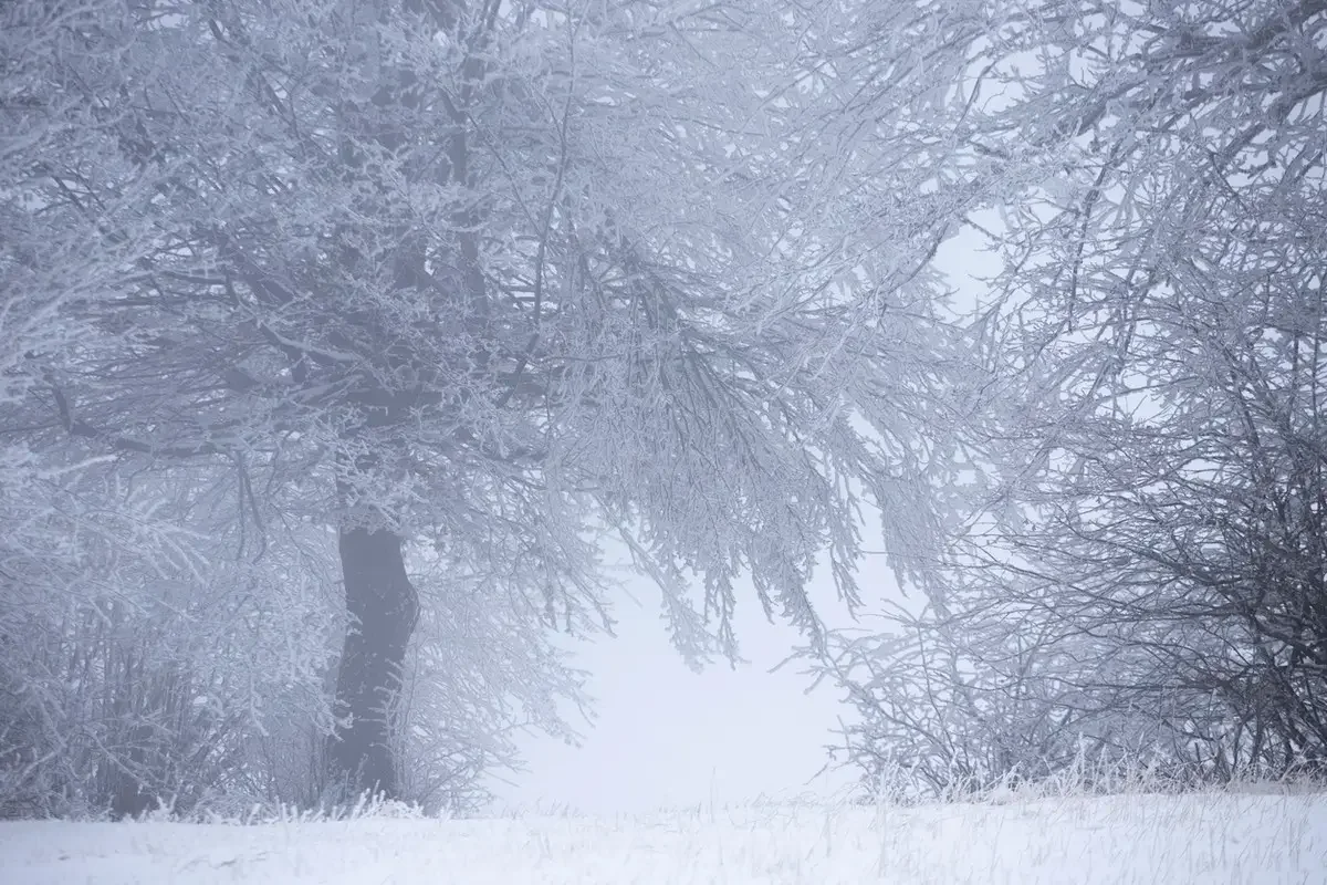 2 ақпанда бірқатар өңірде қар жауып, боран соғады