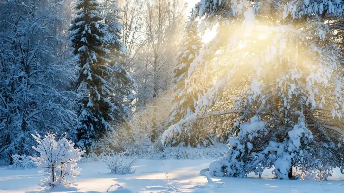 Аяз қайта күшіне мінеді: Қазақстанның 15 өңірінде дауылды ескерту жарияланды
