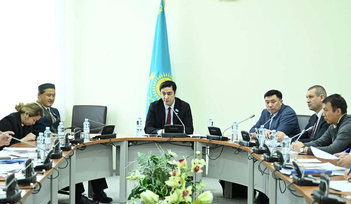Мәжілісте мүгедектігі бар адамдардың ұйымдарына қатысты салық мәселелері талқыланды