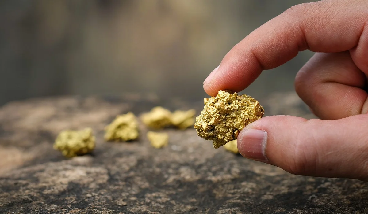 Түркістан облысында 451 грамм алтын қазып алған 5 адам үйқамаққа қамалды