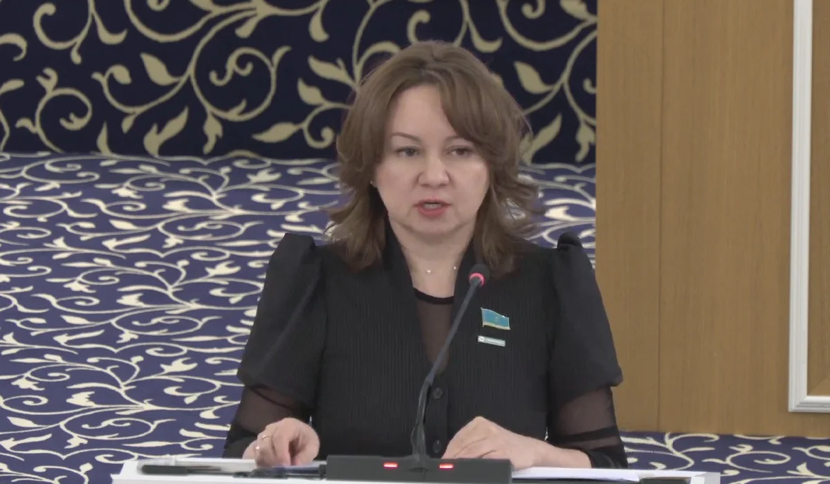 Жаңа Конституцияда өтпелі рәсімдер, мерзімдер мен регламенттер нақты жазылады – Снежанна Имашева