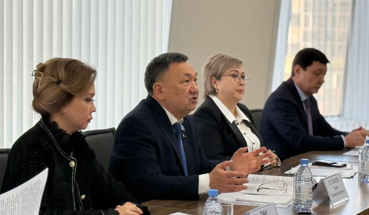 Парламентаризм институты жаңа Конституция жобасын қолдады