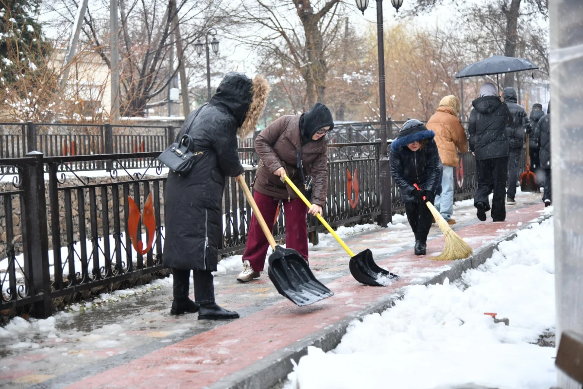Экологиялық мәдениет және жауапкершілік: «AMANAT» партиясы елімізде «Таза бейсенбі» акциясын жүзеге асыруда