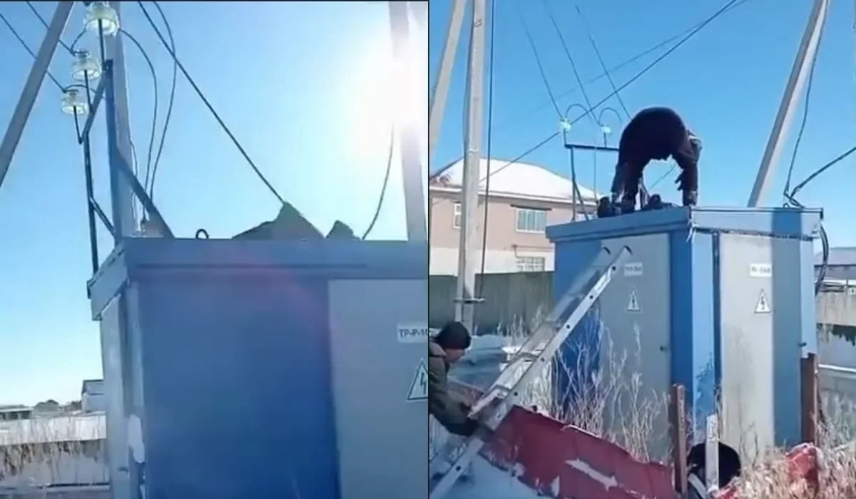 Астананың іргесінде ер адам қосалқы станцияға шығамын деп тоққа түсті