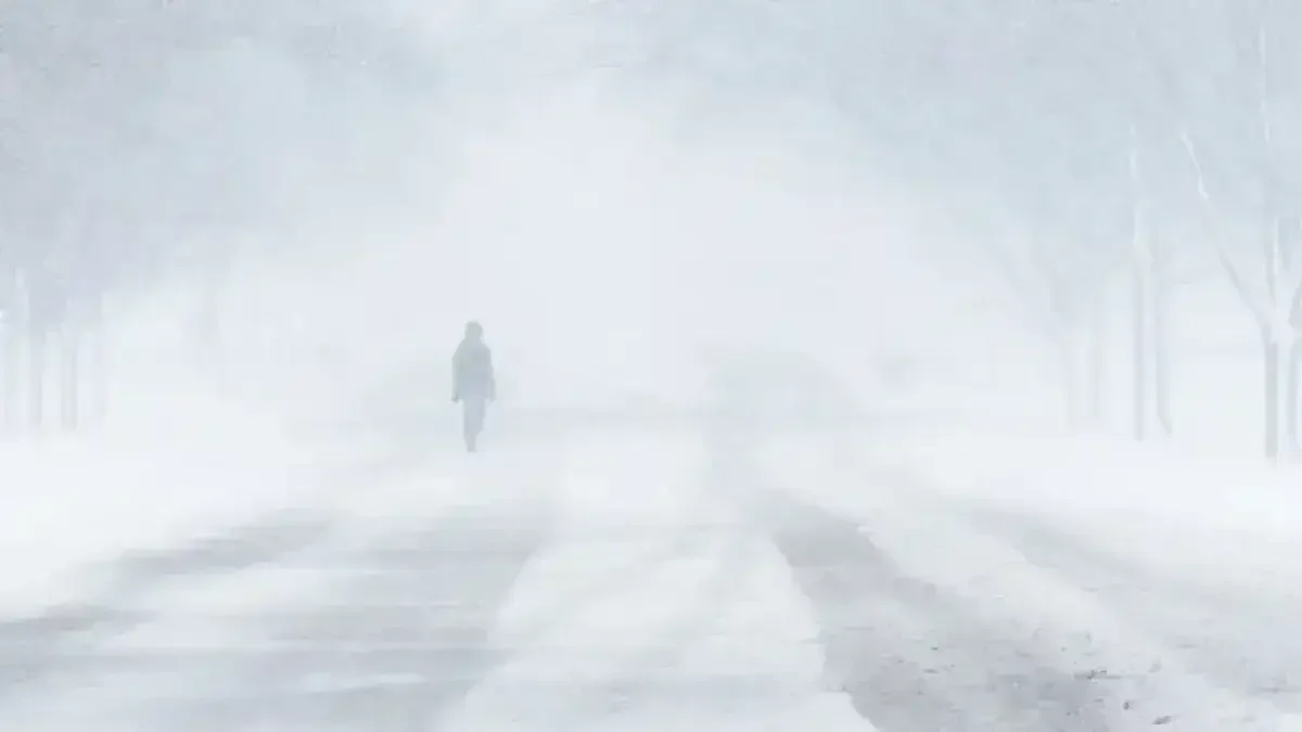 Құтқарушылар Жамбыл облысында жоғалып кеткен малшыны тапты