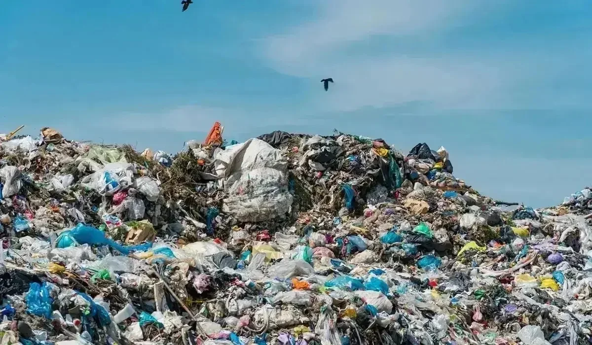 Түркістан облысында жүздеген стихиялық қоқыс орны анықталды