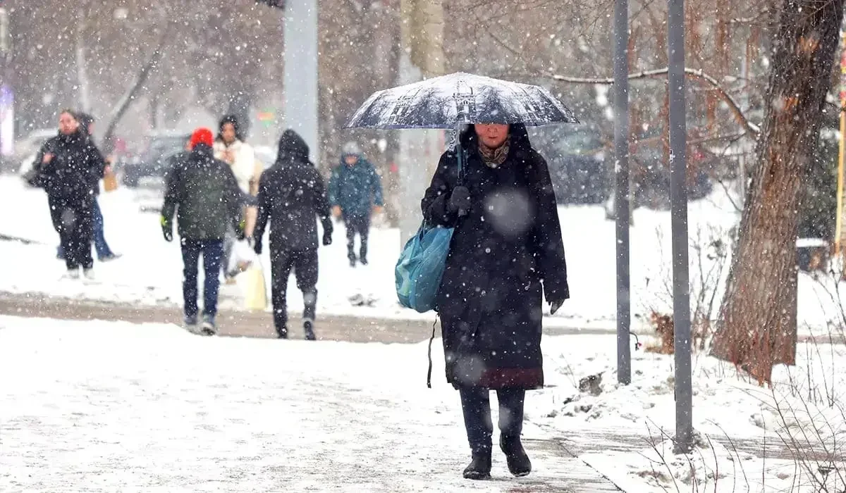 Қазақстанның оңтүстік өңірлерінде күн күрт суытады: жаңбырдың арты қарға ұласады