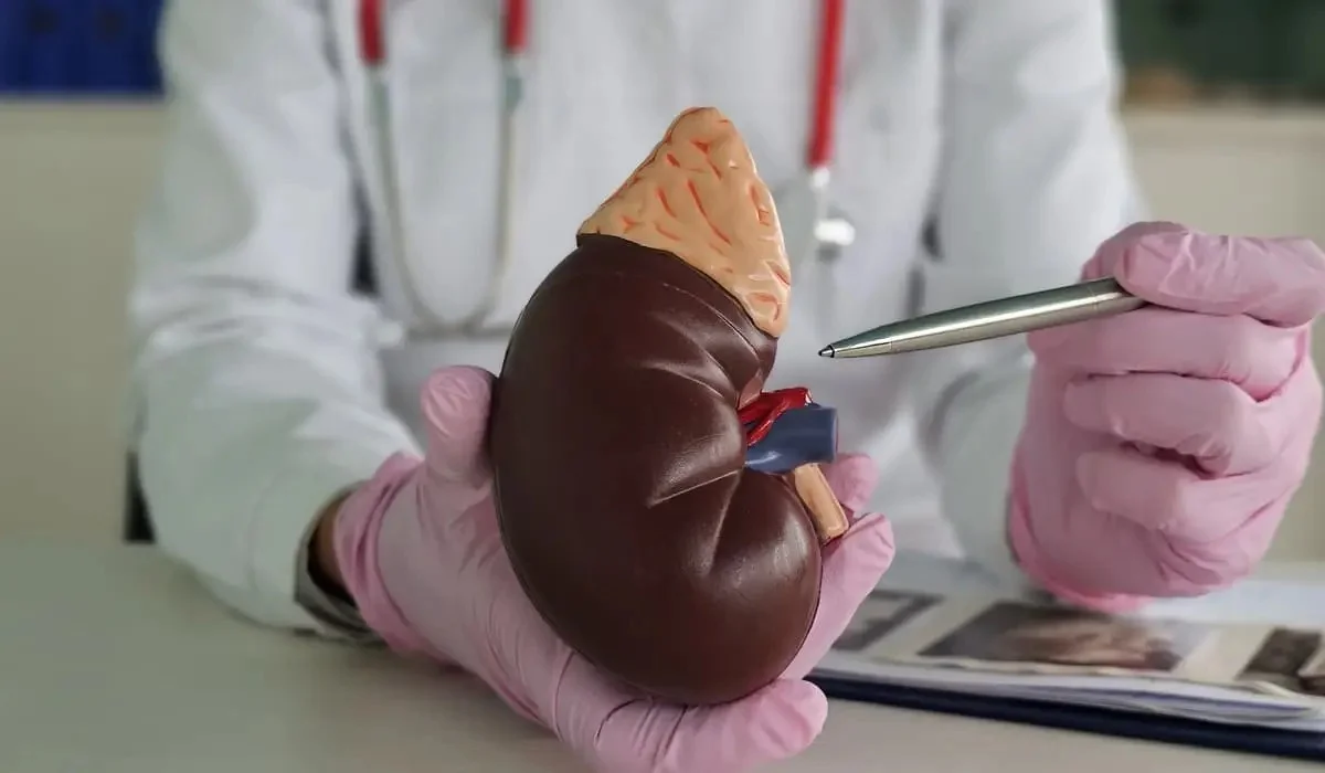 «Ақшаға қатты мұқтаж болған»: Түркістан соты 13 млн теңгеге бүйрегін сатпақ болған азаматты сот залынан босатты