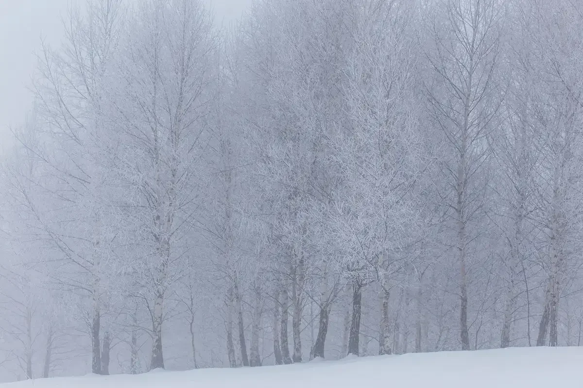 Қар, тұман, екпінді жел: елдің басым бөлігінде дауылды ескерту жарияланды