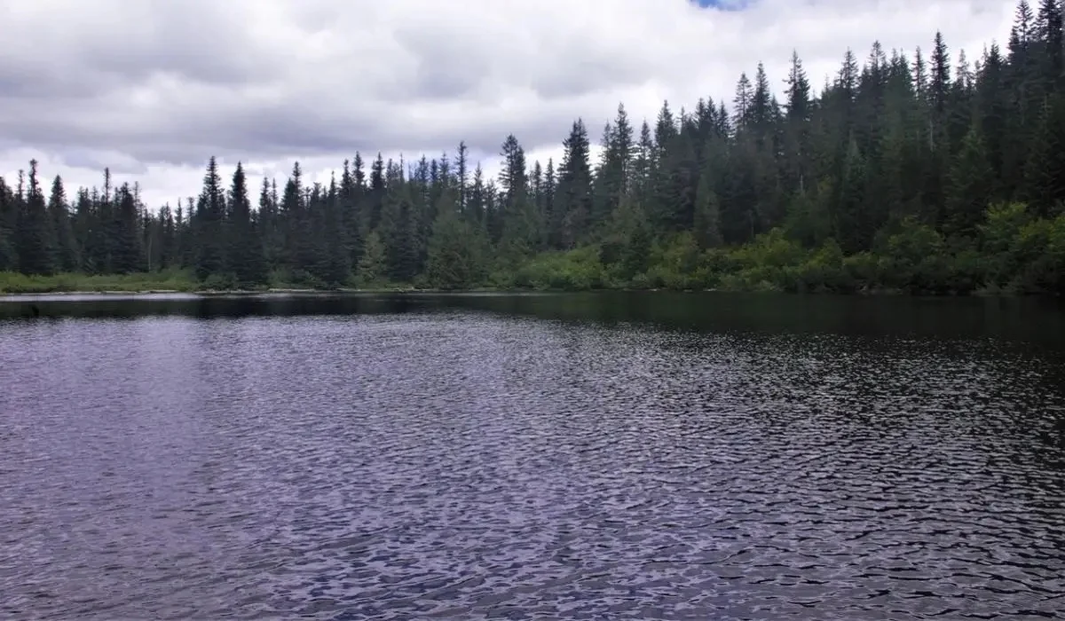 Депутат Жасыбай көлінде маңызды су жобасын бастауды ұсынды