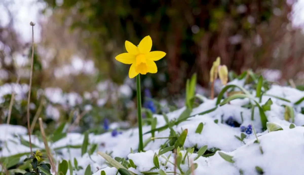 Наурыз айына ауа райы болжамы
