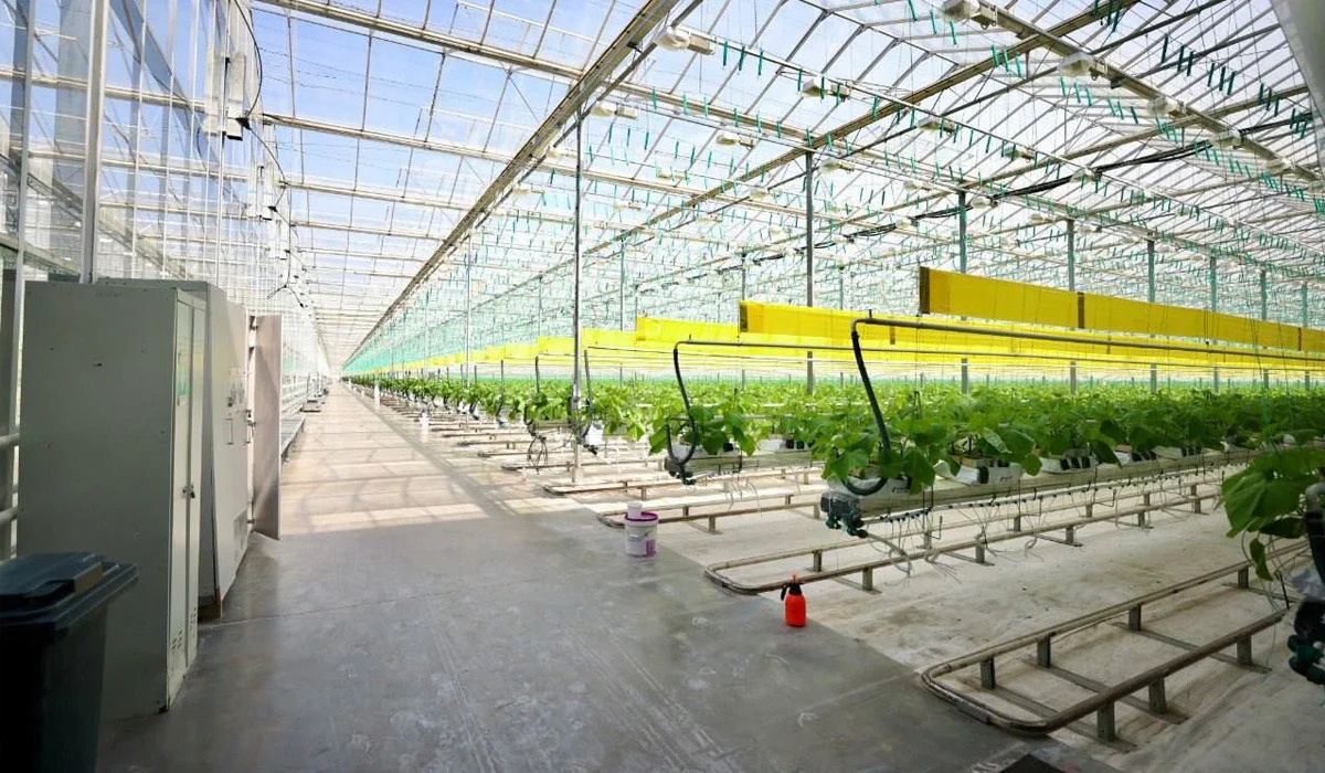 Алматы облысында коалиция мүшелері «Green Land Alatau» жылыжай кешенінің ұжымымен кездесті