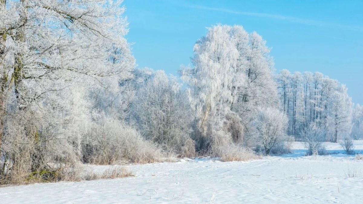 25 градус аяз болады: Қазақстанда 8 наурыз мерекесі қарсаңында ауа райы қандай болады