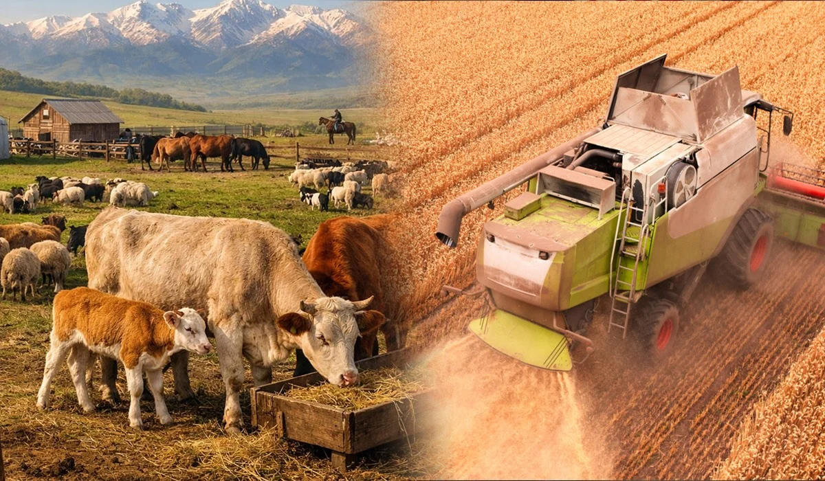 Шикізаттан дайын өнімге дейін: Қазақстан агроөнеркәсіп саласын қалай жаңғыртып жатыр