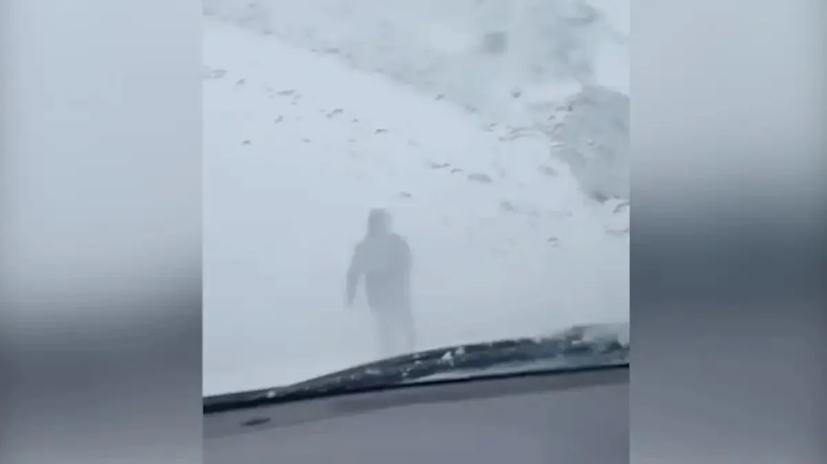 «Нағыз батыр келіншек»: Павлодар облысының мұғалімі боранды күні 4 шақырым жаяу жүріп, көліктерге жол көрсеткен (ВИДЕО)