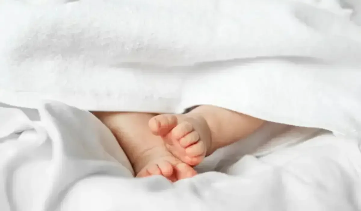 Алматыда референдум күні 44 сәби дүниеге келді