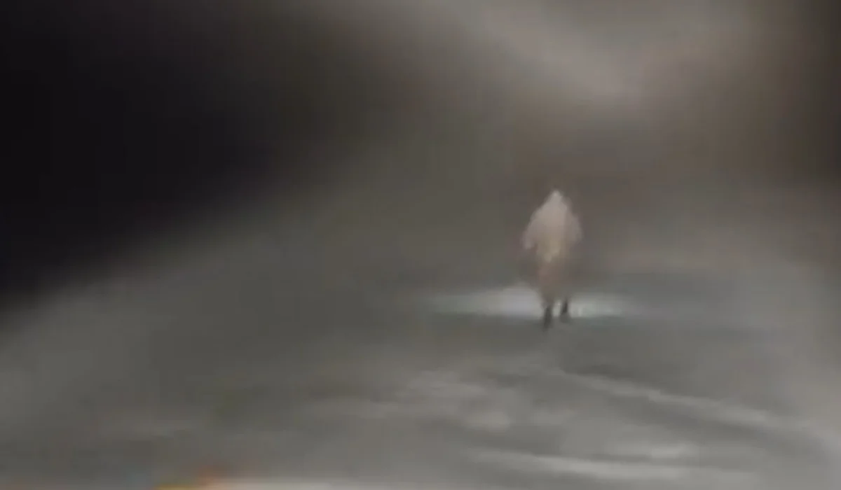 Әулиекөлде мал жайып жүрген ер адам адасып кетті: оны іздеуге дрон, спутниктік байланыс қолданылды