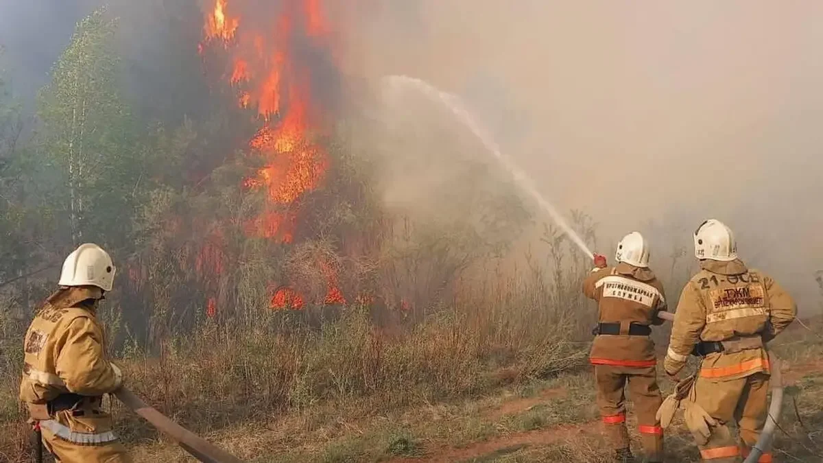 Апат айтып келмейді: орман шаруашылықтары материалдық-техникалық базасын нығайтып жатыр