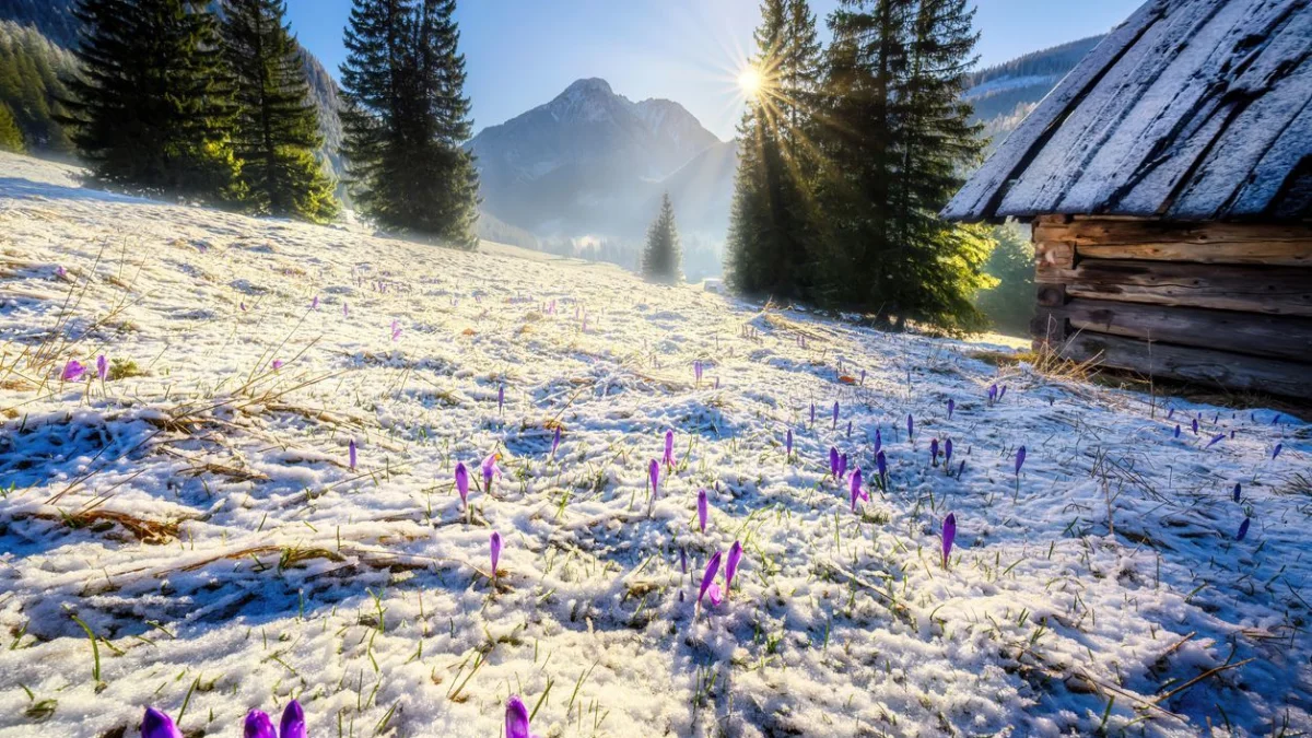 Қазақстанда алдағы үш күнде 23 градусқа дейін жылы болады – ауа райы болжамы