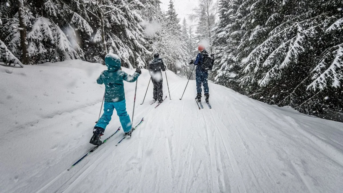Алматы мектептерінде оқу бағдарламасына шаңғы спорты енгізілуі мүмкін