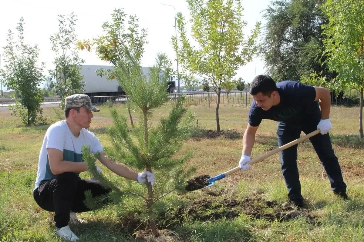 «Бес жылда 15 млн емес, 18 млн түп ағаш ектік»: Үкімет президенттің тапсырмасын асыра орындап жіберген