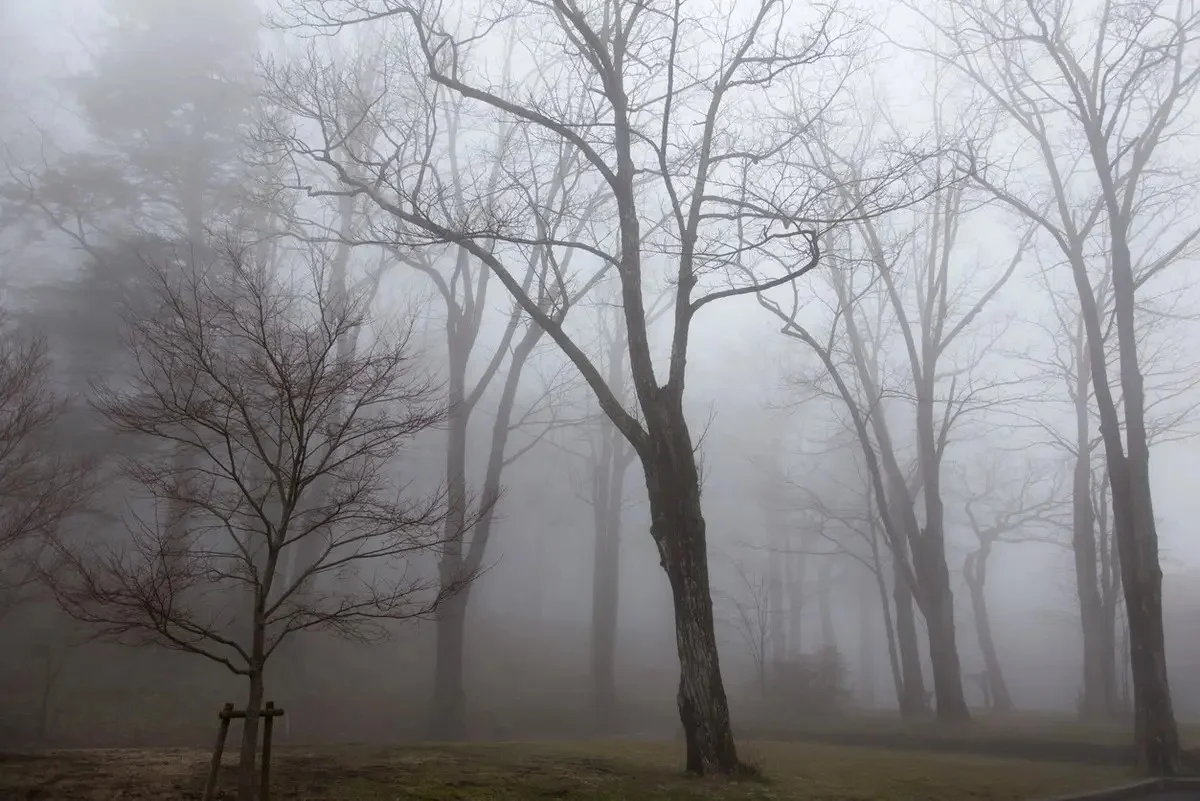 Тұман мен көктайғақ: 22 наурызға Қазақстанның бірнеше өңірінде дауылды ескерту жарияланды