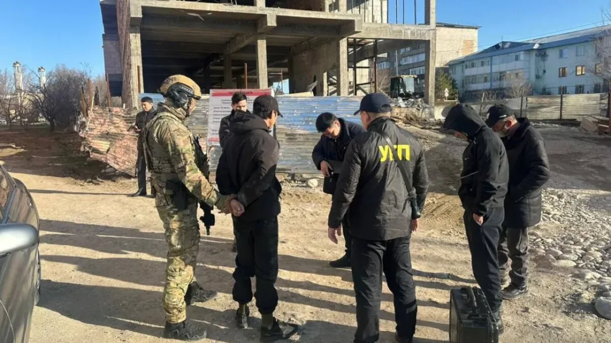 Жетісу облысында 13 пәтерді тонаған қылмыстық топ қолға түсті