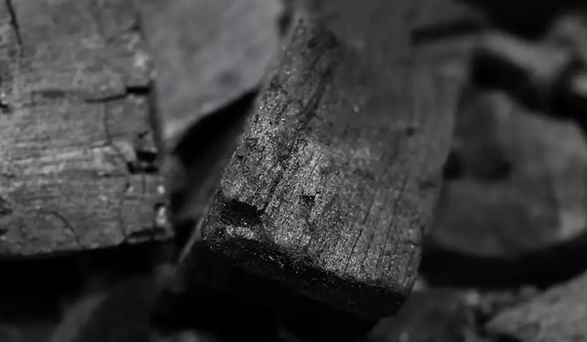 «Көмір генерациясын дамыту»: Үкімет ауқымды ұлттық жобаны бекітті