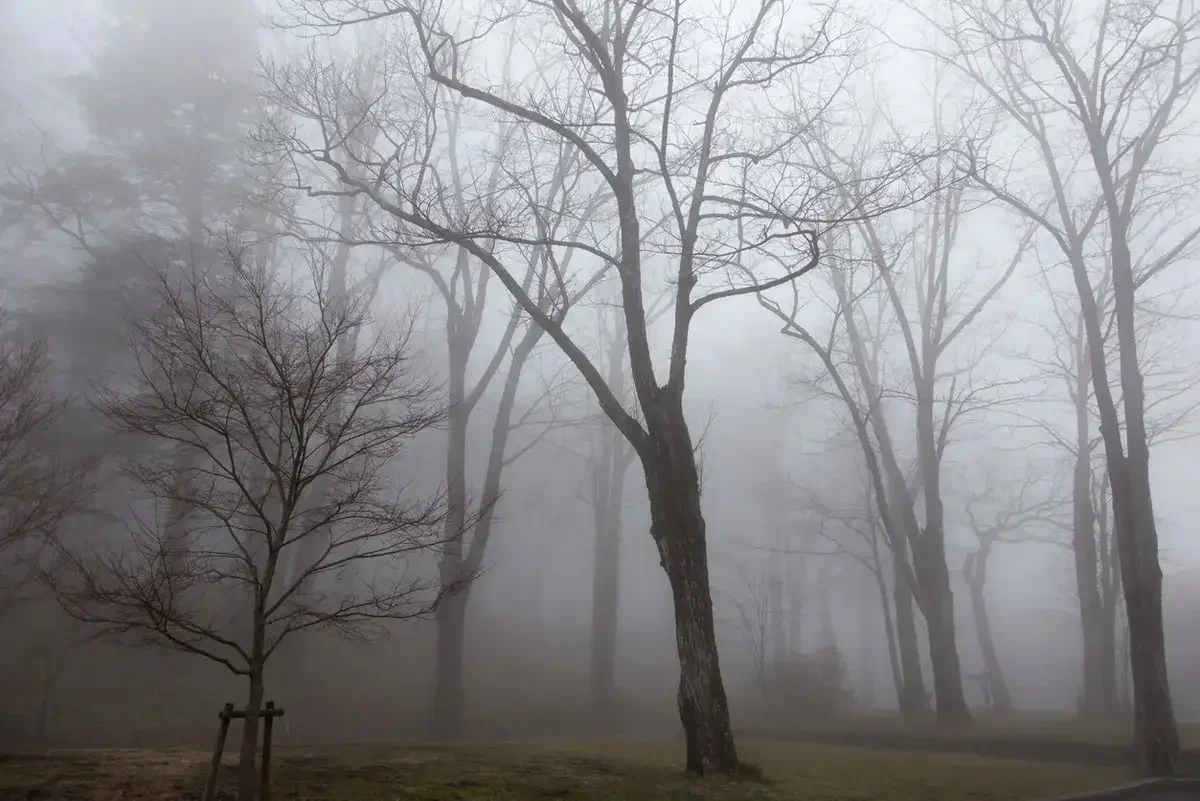 Қарағанды облысында тұманда адасып кеткен ер адам табылды