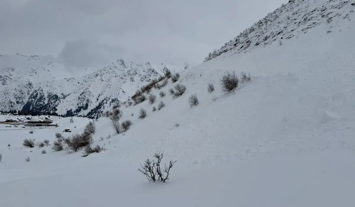 Алматы облысында екі баласы бар отбасы қар құрсауында қалды