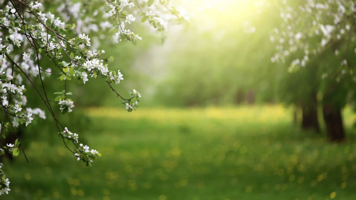 30 градус ыстық болады: наурыз айының соңғы күндеріне арналған ауа райы болжамы жарияланды