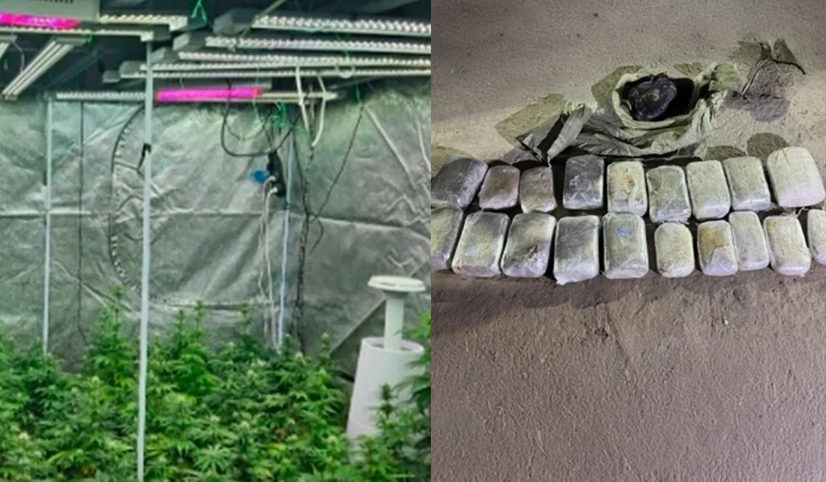 Героин, метамфетамин, апиын, марихуана: ҰҚК жыл басынан бері 240 кг есірткі тәркіледі